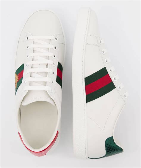 gucci sneaker damen schweiz